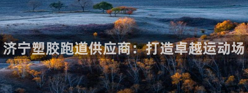 4633333开奖结果4176一点红：济宁塑胶跑道供应商：打造卓越运动场
