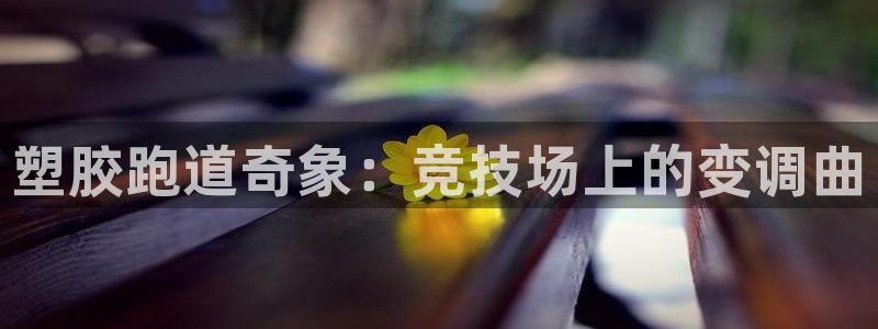 666814红·足一世比分：塑胶跑道奇象：竞技场上的变调曲