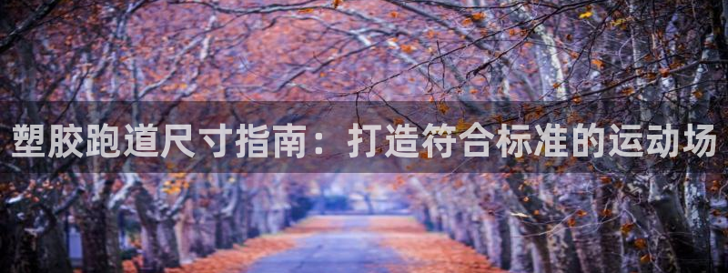 红足1一世足球手机：塑胶跑道尺寸指南：打造符合标准的运动场