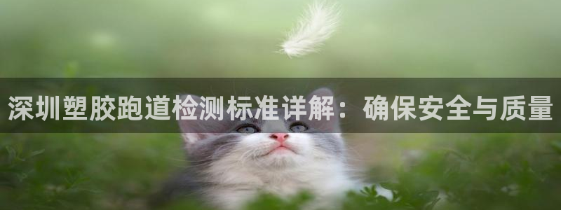 红足1世1站2站管理网：深圳塑胶跑道检测标准详解：确保安全与质量