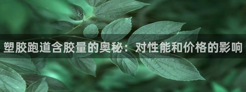 红世一足球比分：塑胶跑道含胶量的奥秘：对性能和价格的影响