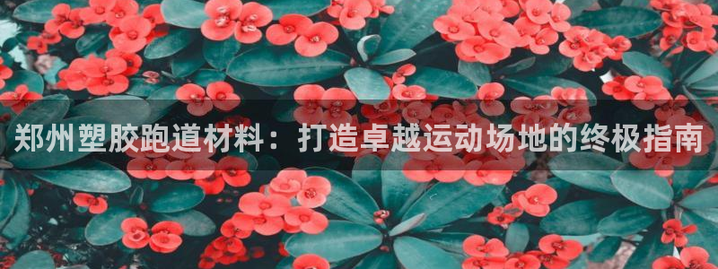 红足足球网：郑州塑胶跑道材料：打造卓越运动场地的终极指南