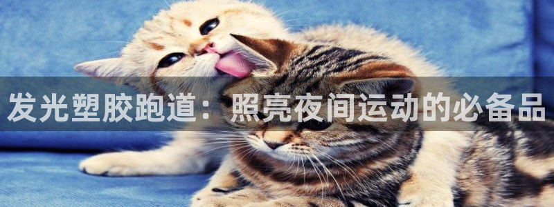 红足1世手机版下载：发光塑胶跑道：照亮夜间运动的必备品