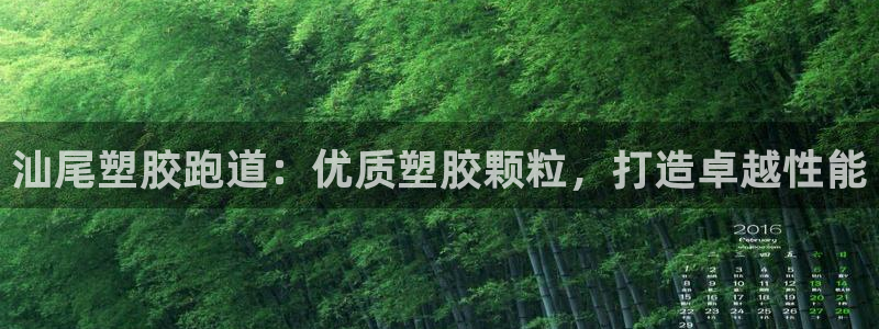 红足一1世皇冠登录：汕尾塑胶跑道：优质塑胶颗粒，打造卓越性能