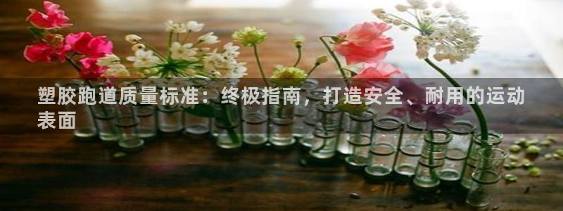 红足一：塑胶跑道质量标准：终极指南，打造安全、耐用的运动
表面