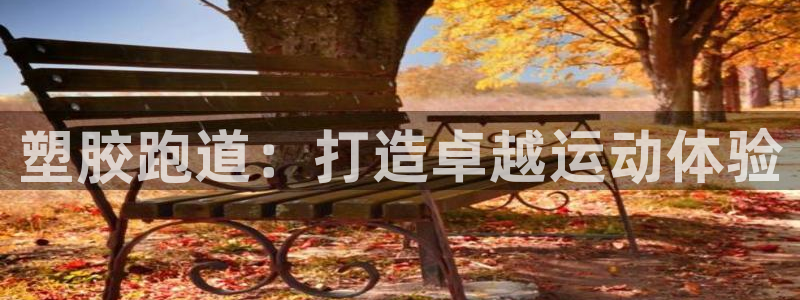 百度红足一1是为什么：塑胶跑道：打造卓越运动体验