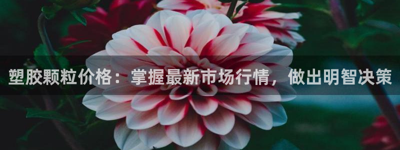 55814红足1世