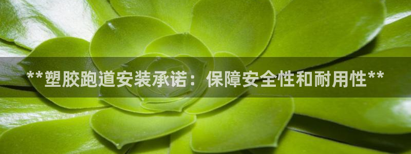 红足一丰：**塑胶跑道安装承诺：保障安全性和耐用性**