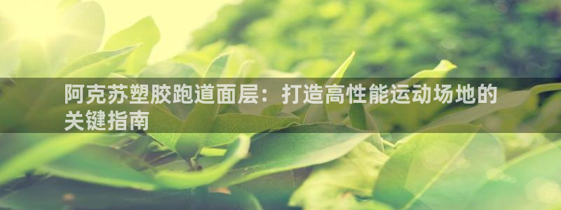 百度红足一1是什么样子的