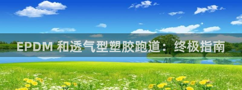 红足1世足球比分 localhost