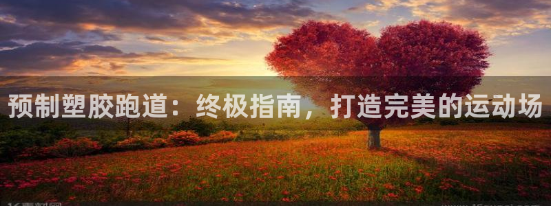 新2足球平台出租网站：预制塑胶跑道：终极指南，打造完美的运动场