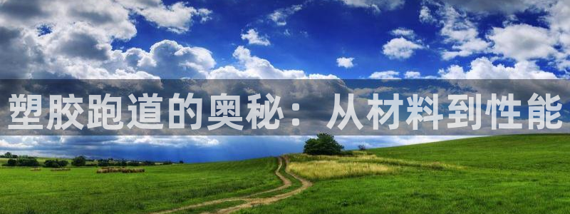 红足一1世66814：塑胶跑道的奥秘：从材料到性能