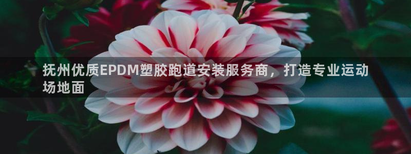 红足1世手机下载：抚州优质EPDM塑胶跑道安装服务商，打造专业运动
场地面