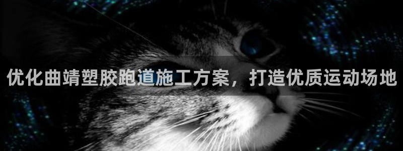 红足1世开奖预测：优化曲靖塑胶跑道施工方案，打造优质运动场地