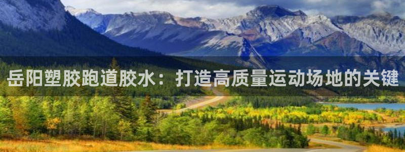 红足一：岳阳塑胶跑道胶水：打造高质量运动场地的关键