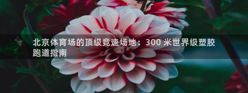 红足一1世皇冠登录：北京体育场的顶级竞速场地：300 米世界级塑胶
跑道指南