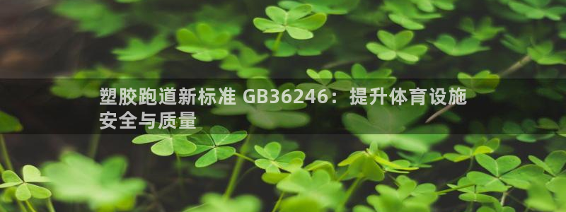 红足1世手机版下载：塑胶跑道新标准 GB36246：提升体育设施
安全与质量