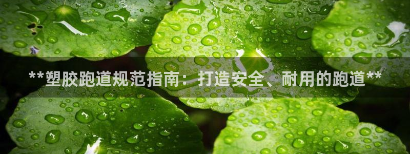 红足一1世比分球探