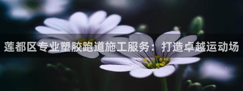 红足1世手足球比分