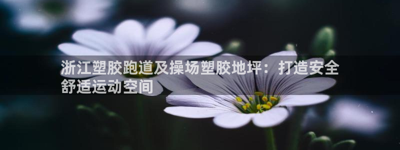 红足1世1站：浙江塑胶跑道及操场塑胶地坪：打造安全
舒适运动空间