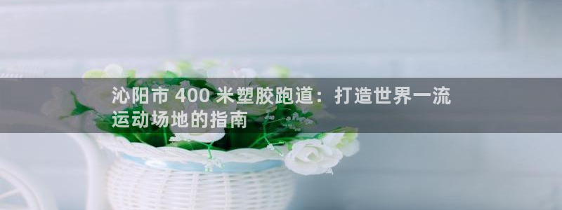 红足1一世开奖版：沁阳市 400 米塑胶跑道：打造世界一流
运动场地的指南