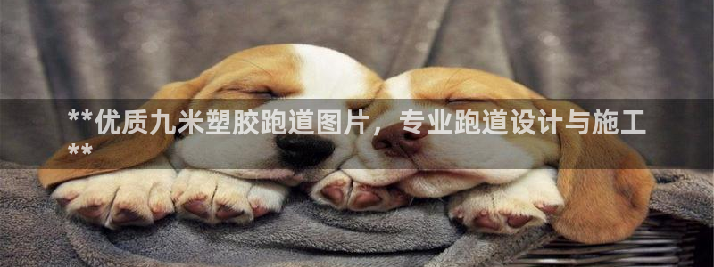红足一一世足球网开奖记录：**优质九米塑胶跑道图片，专业跑道设计与施工
**
