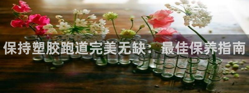 777814红·足一世：保持塑胶跑道完美无缺：最佳保养指南