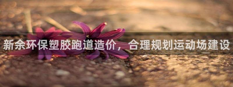 红足一1世66814新宝：新余环保塑胶跑道造价，合理规划运动场建设