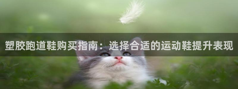 666814红·足一世比分：塑胶跑道鞋购买指南：选择合适的运动鞋提升表现