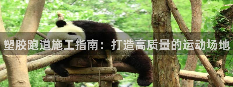 百度红足一1是干什么的