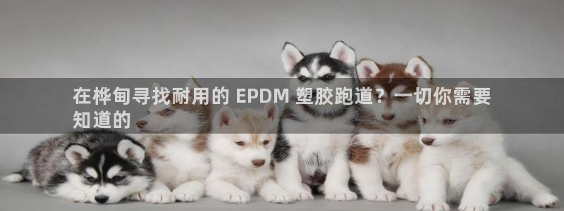 百度红足一1世