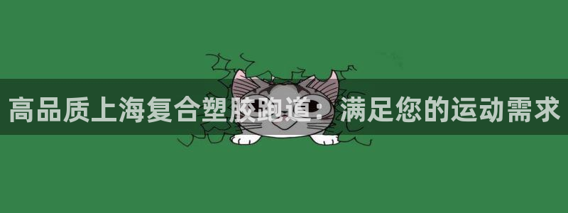 百度红足一1视频在线观看：高品质上海复合塑胶跑道：满足您的运动需求