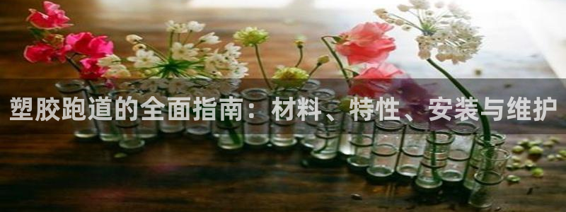 红足1世手机下载：塑胶跑道的全面指南：材料、特性、安装与维护