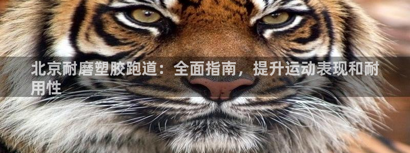 红足 世足球手机网：北京耐磨塑胶跑道：全面指南，提升运动表现和耐
用性