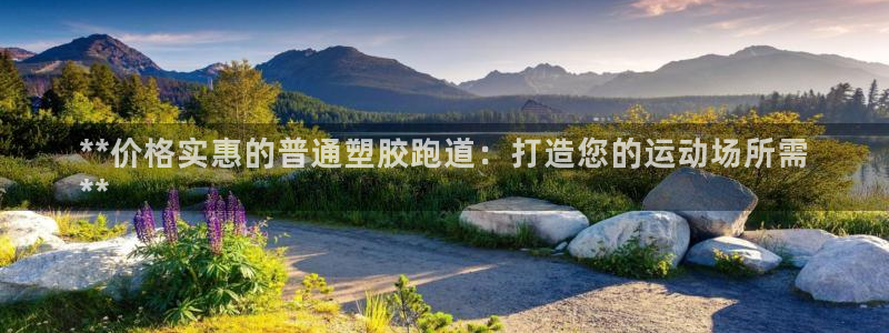 红足1一世开奖版：**价格实惠的普通塑胶跑道：打造您的运动场所需
**