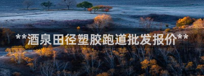 红足一：**酒泉田径塑胶跑道批发报价**