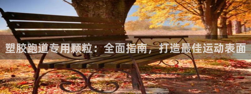 红足1世手机下载：塑胶跑道专用颗粒：全面指南，打造最佳运动表面