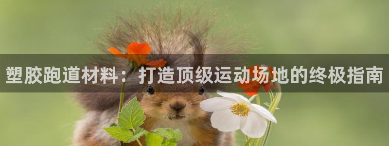 红足1世手机板：塑胶跑道材料：打造顶级运动场地的终极指南