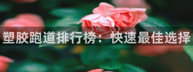 红足一1世比分：塑胶跑道排行榜：快速最佳选择
