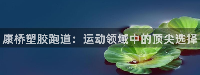 777814红·足一世：康桥塑胶跑道：运动领域中的顶尖选择
