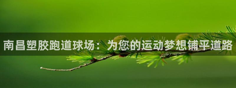 红足一1世666814足球比分网：南昌塑胶跑道球场：为您的运动梦想铺平道路