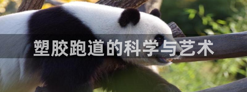 百度红足一1是为什么：塑胶跑道的科学与艺术