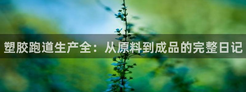 新2足球平台出租网站：塑胶跑道生产全：从原料到成品的完整日记