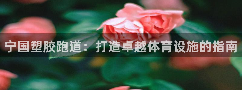 77814红足1世：宁国塑胶跑道：打造卓越体育设施的指南