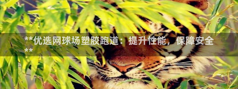 红足1世1站2站管理网：**优选网球场塑胶跑道：提升性能，保障安全
**