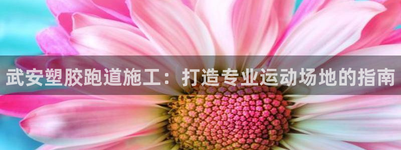 红足1世官网：武安塑胶跑道施工：打造专业运动场地的指南