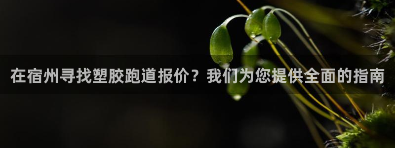 红足1一世 2站：在宿州寻找塑胶跑道报价？我们为您提供全面的指南
