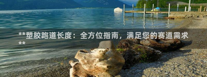 红足1世手机板