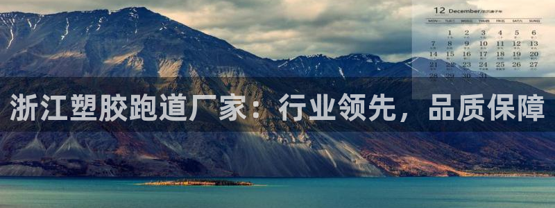 333814红足1世：浙江塑胶跑道厂家：行业领先，品质保障