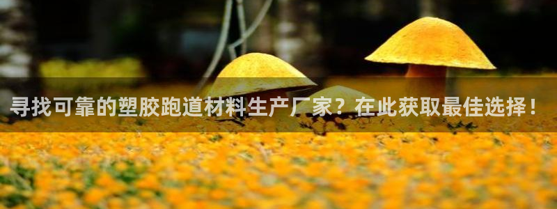 红足1世手足球比分：寻找可靠的塑胶跑道材料生产厂家？在此获取最佳选择！